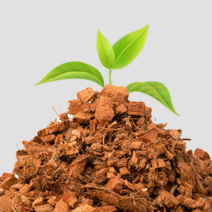 Coco Products Exporter in India